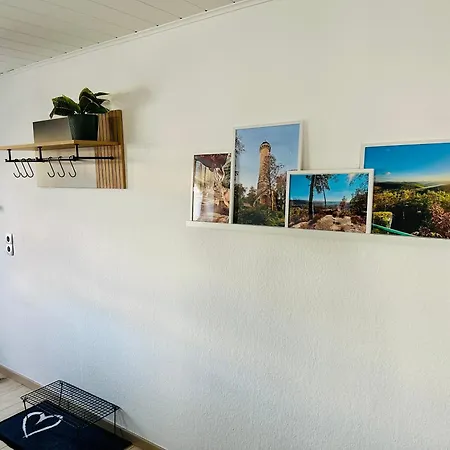 Karl Im Schoenen Pfaelzer Wald Petersberg (Suedwestpfalz)