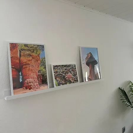 Karl Im Schoenen Pfaelzer Wald Апартаменты