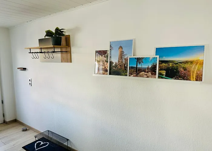 Karl Im Schoenen Pfaelzer Wald Petersberg (Suedwestpfalz)