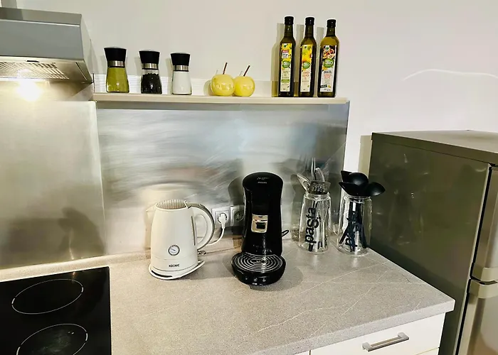 Karl Im Schoenen Pfaelzer Wald